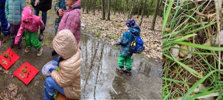 Kinder entdecken Kräuter und Insekten im Wald