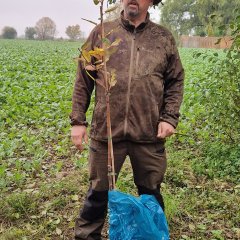 Mann und kleiner Baum 