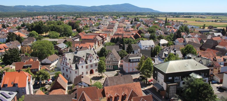 Blick auf das Historische Rathaus