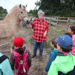 Kinder stehen vor einem Pferd am Zaun