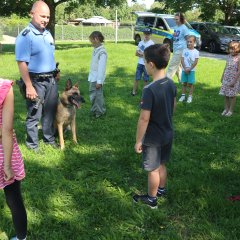 Polizist stellt Kindern einen Polizeihund vor